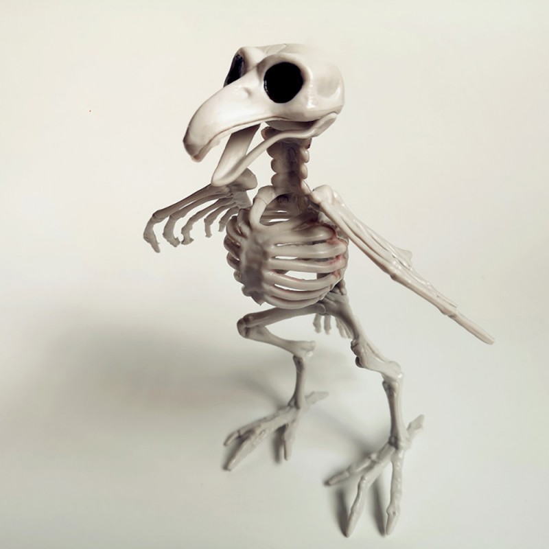 Halloween Layout Props Skeleton Horror Animal Skeleton
