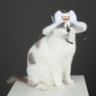 Halloween Accessory Prop Monster Hunter Wilds Felyne Palico Hat Cosplay Costumes